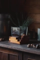 9F3A7554.jpg