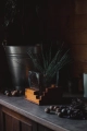 9F3A7566.jpg