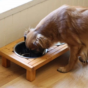 Stelaż plus Miski dla psa 2x1,8l. Jasny